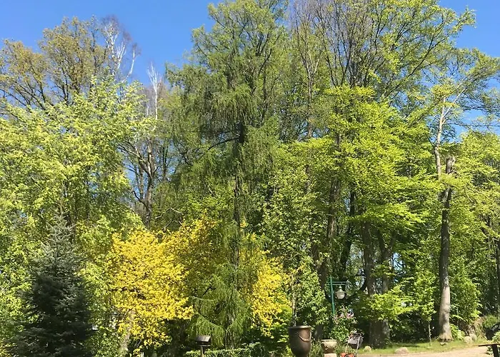 Vendégház Lisewski Dwor Gniewino